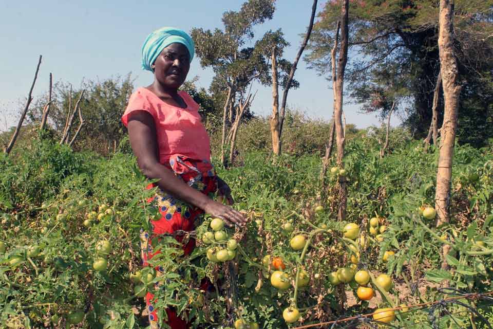 Calling for Gender equality today for a sustainable tomorrow