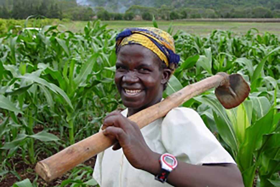 Scaling Out Integrated Soil Fertility Management Technologies in Zambia project 