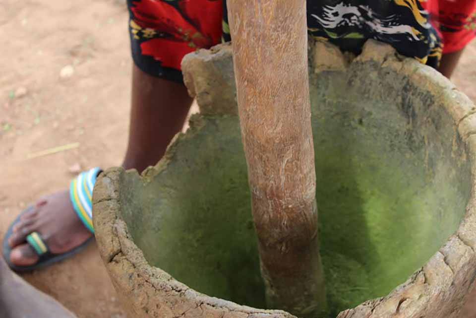 Young Farmers Scaling Up Agro Processing in Chibombo