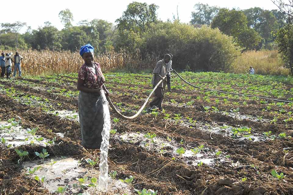 5000 Farmers Increased production and income through irrigation