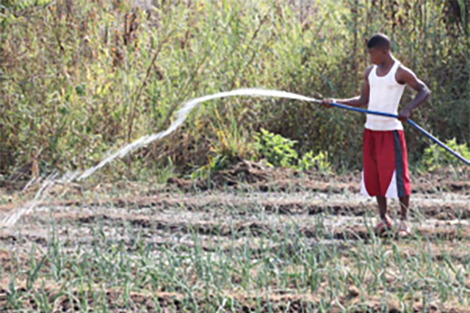 300 Young Agricultural entrepreneurs in Chibombo to be reached 