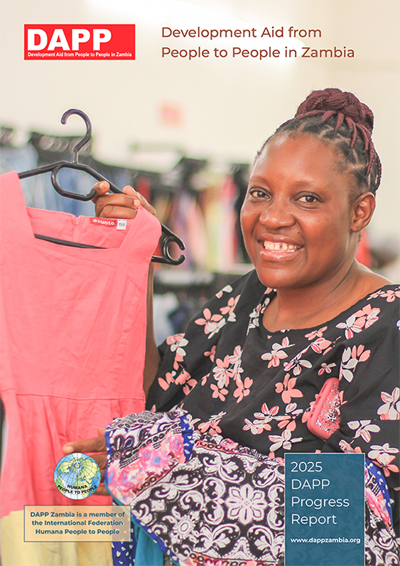 2025 DAPP Progress Report