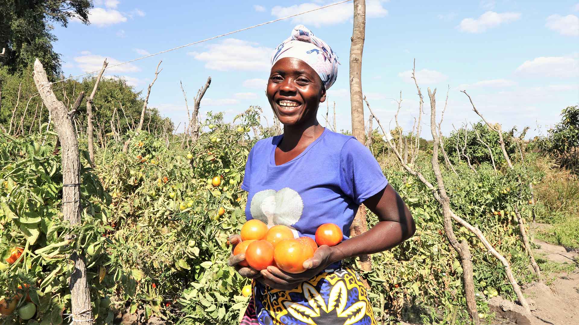 DAPP Zambia projects generate conducive spaces for communities to thrive on and create positive change individually and collectively to build resilience and capacities. The knowledge, skills and tools we share, empower people and their families to face and overcome poverty, illiteracy and disease with diligence